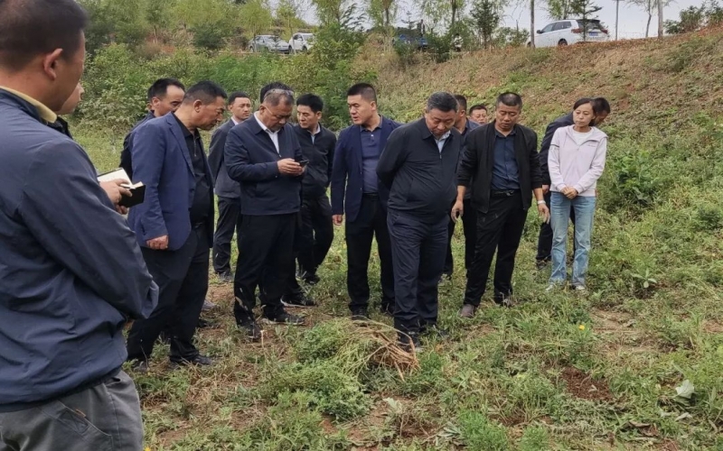 天水市政協副主席、清水縣委書記馬越垠到“榮程百草莊園”中藥材試驗基地調研中草藥產業發展工作